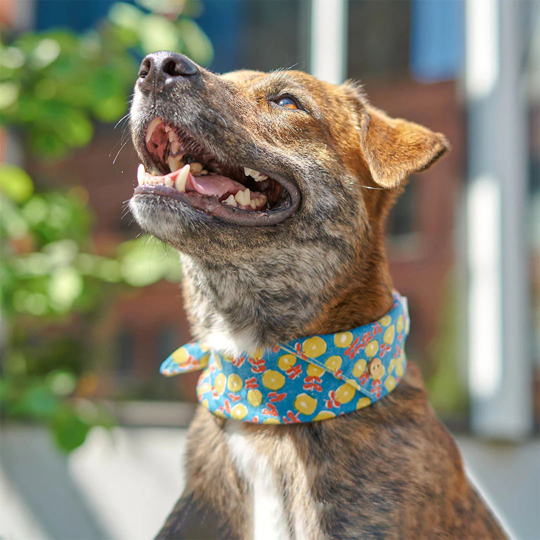 Joyful brindle dog smiling, wearing floral-printed blue bandana.