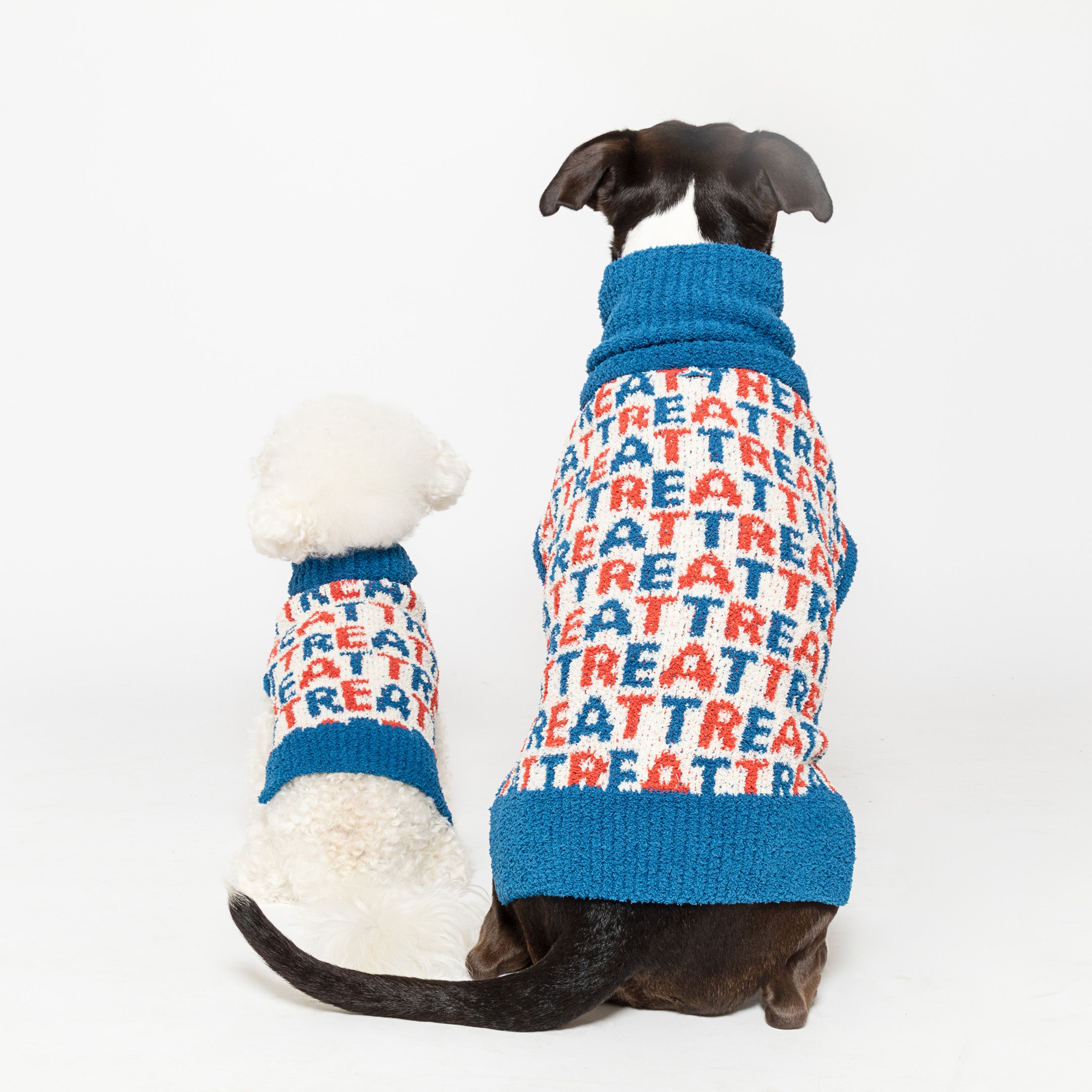 Two dogs from behind, one small and fluffy, the other larger with a darker coat, both sporting cozy blue sweaters adorned with a "Treat" motif.
