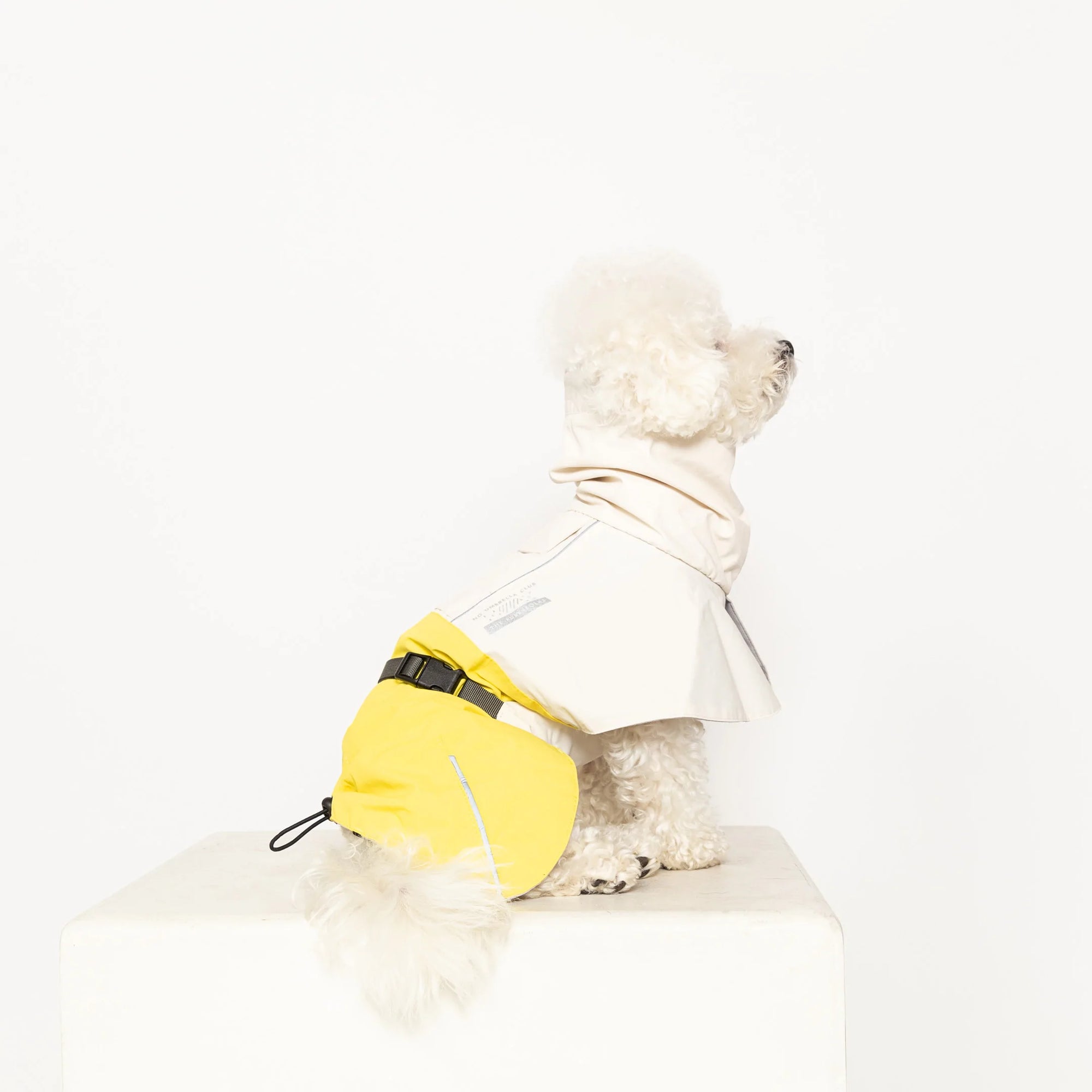 Side view of a white dog wearing a stylish raincoat.