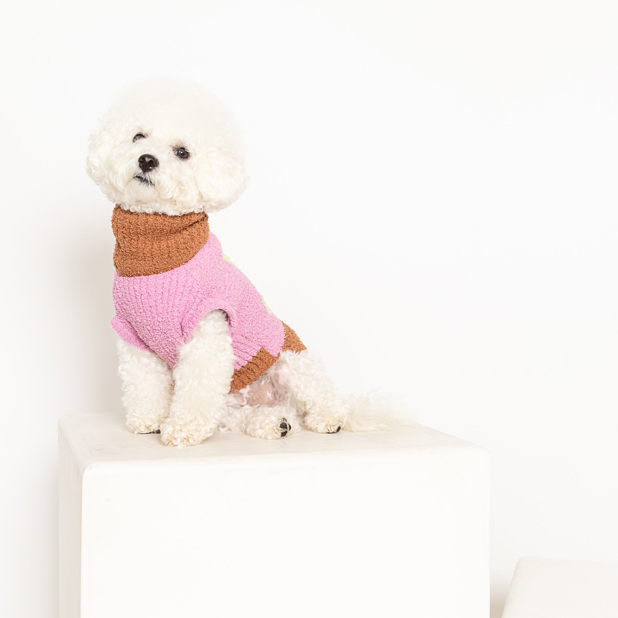  White Bichon Frise in a pink "The Furryfolks" Hey sweater, looking up, on a white pedestal.