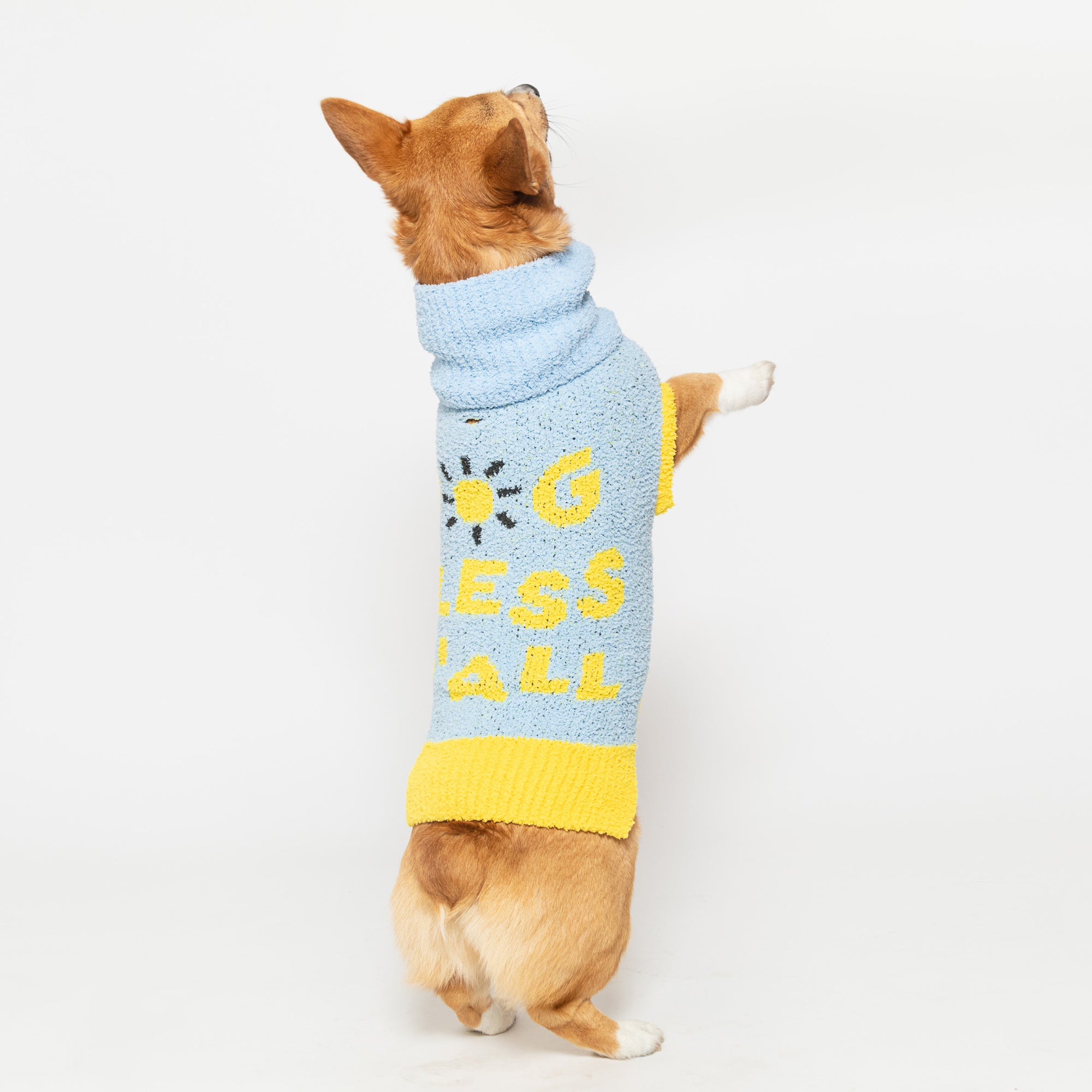 A Corgi in a "the furryfolks" sweater stands on hind legs, sweater reads "DOG BLESS Y'ALL" with a bee design, against a white background.