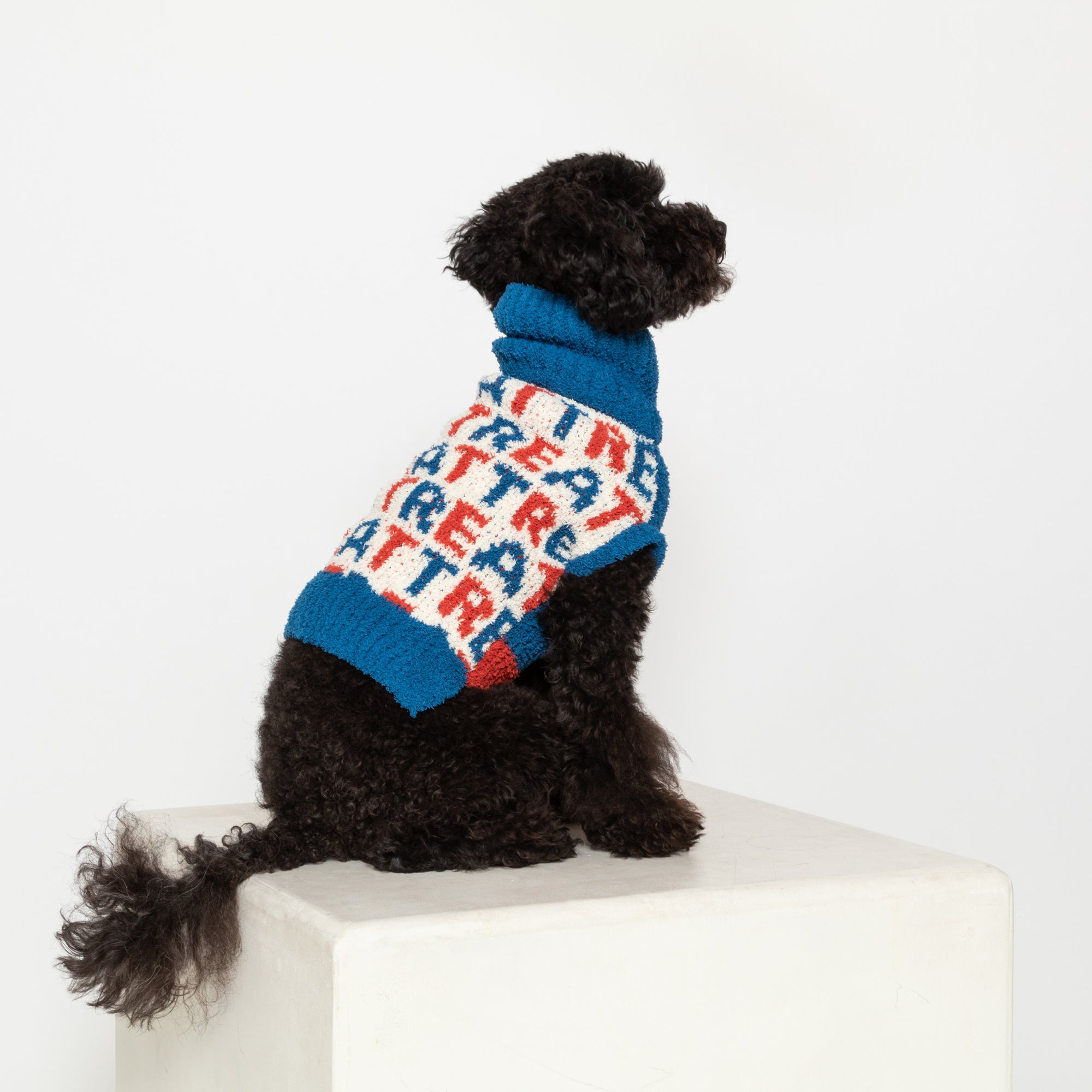 A small black poodle, with a glossy curly coat, sits elegantly wearing a blue turtleneck sweater featuring a whimsical "Treat" pattern in red and white, a cozy garment that complements its size M frame.