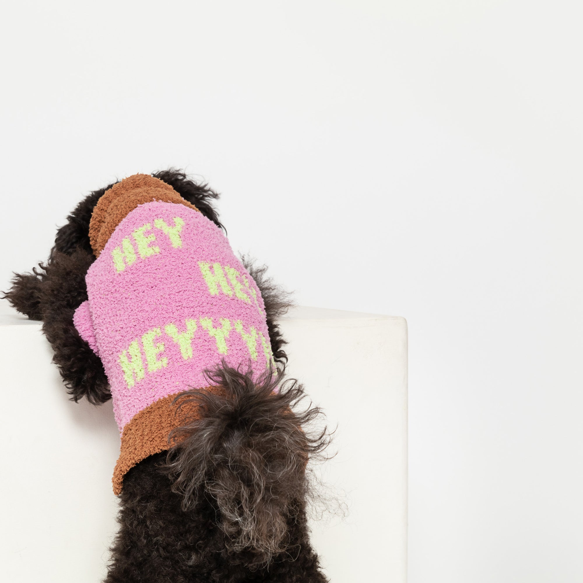  Poodle in "The Furryfolks" 'Hey sweater, back turned, on a white cube against a neutral background.
