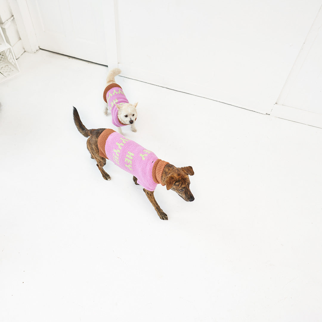  Two dogs in pink "The Furryfolks" Hey sweaters walking in a bright room with white walls and floor.