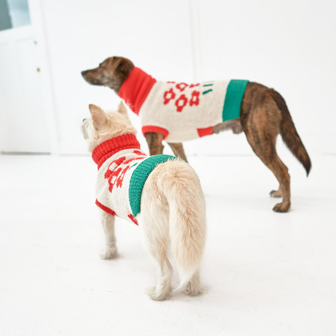 Two dogs in "The Furryfolks" brand flower sweaters, one tan and one brindle, facing away in a white room.