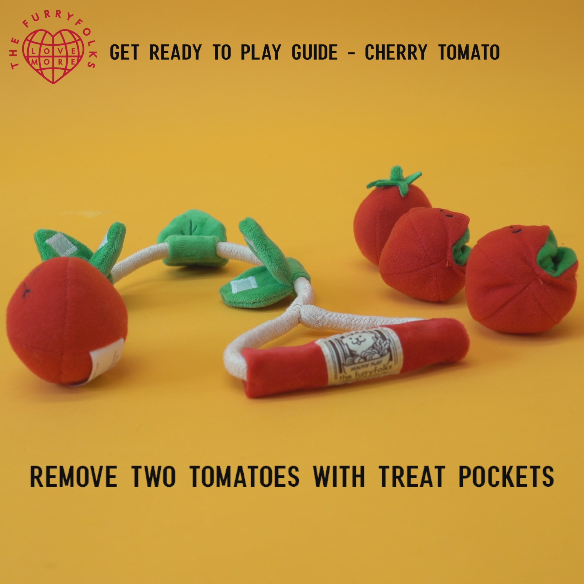 VIDEO for "get ready to play guide - Cherry Tomato"