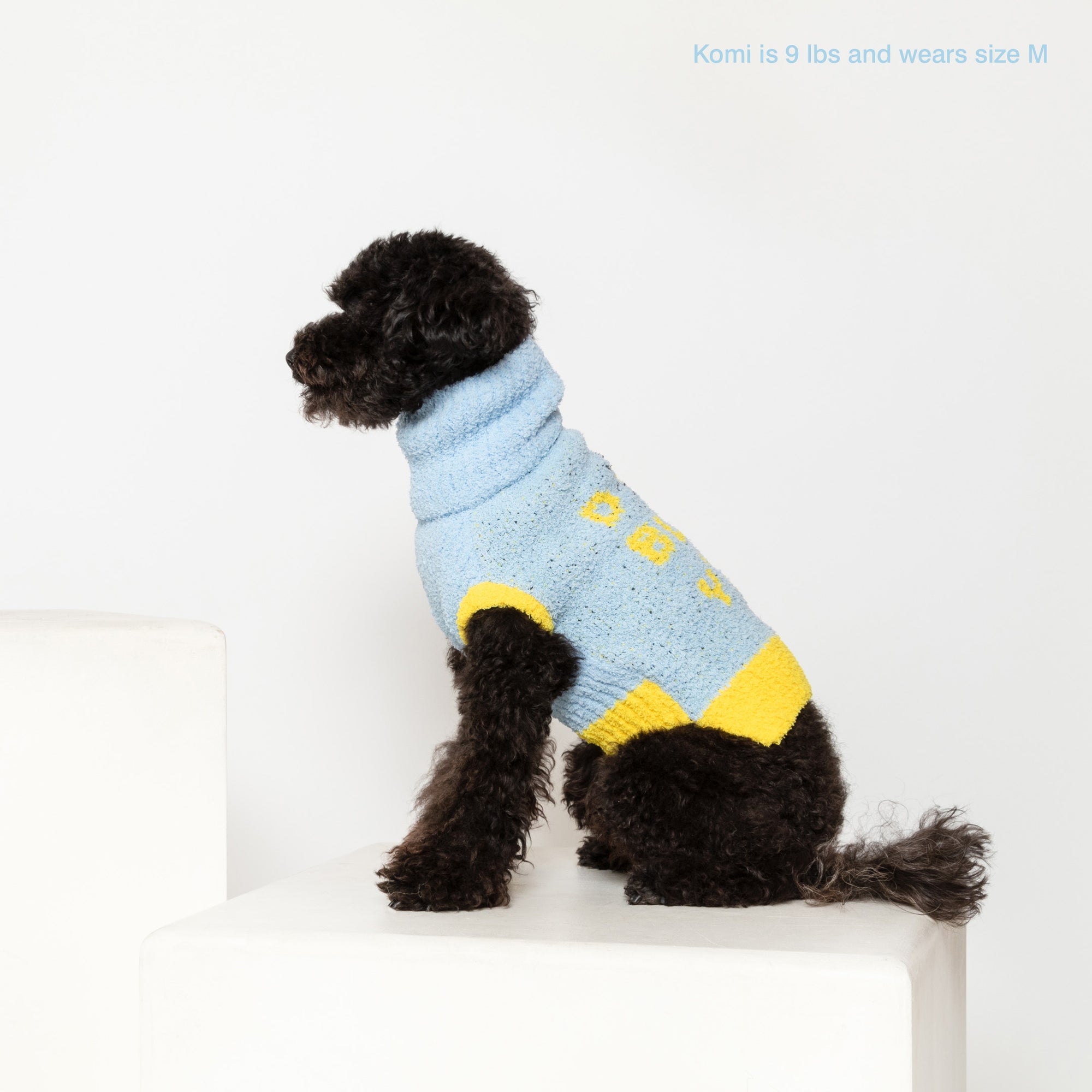  Black poodle named Komi, 9 lbs, in a medium-sized blue "The Furryfolks" sweater, on a white pedestal.