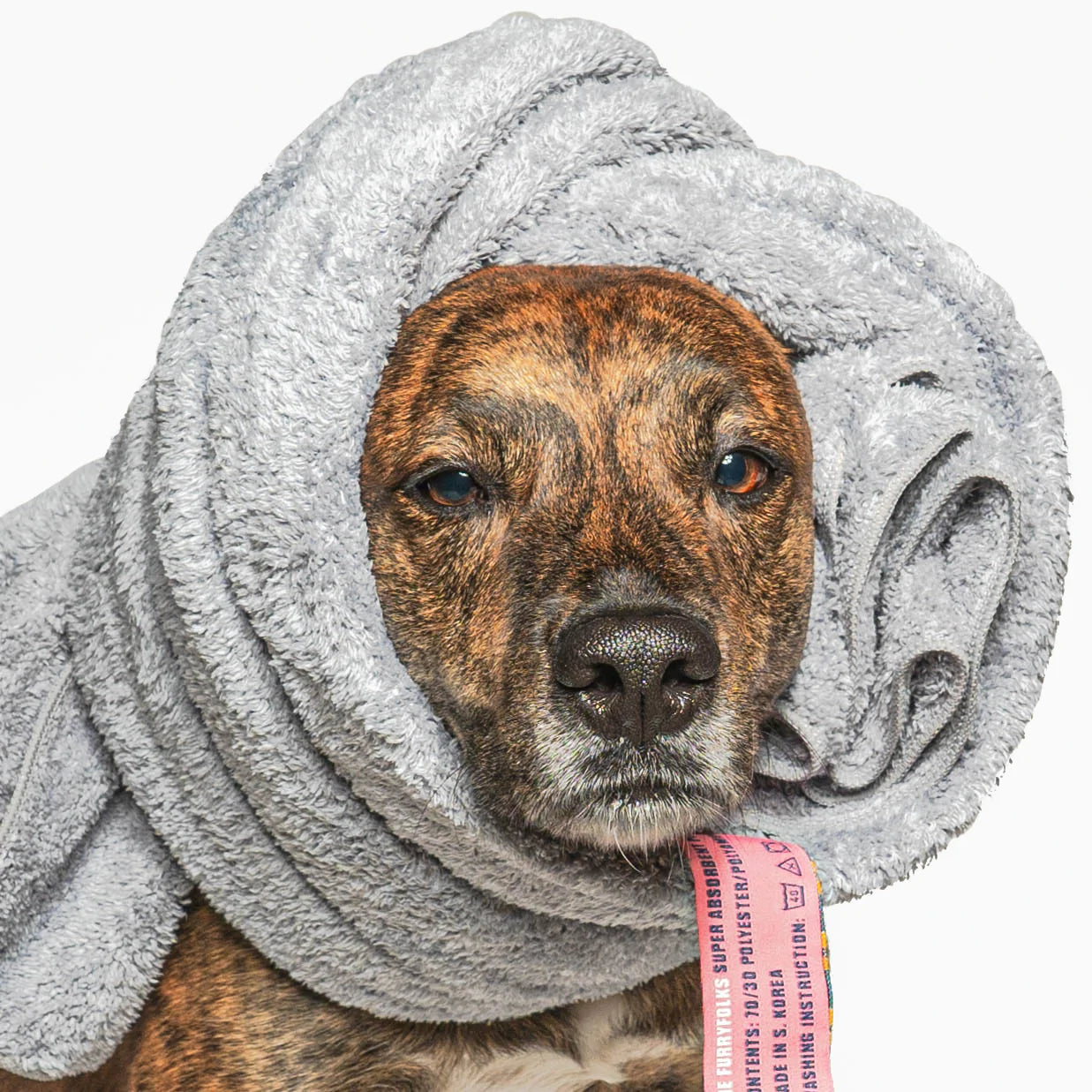 A patient dog wrapped in a luxurious grey microfiber dog towel, looking at the camera with a relaxed expression. The towel's plush fabric promises efficient drying and comfort, while the visible part of the measuring tape adds an amusing detail, indicating perhaps a recent grooming session or fitting.
