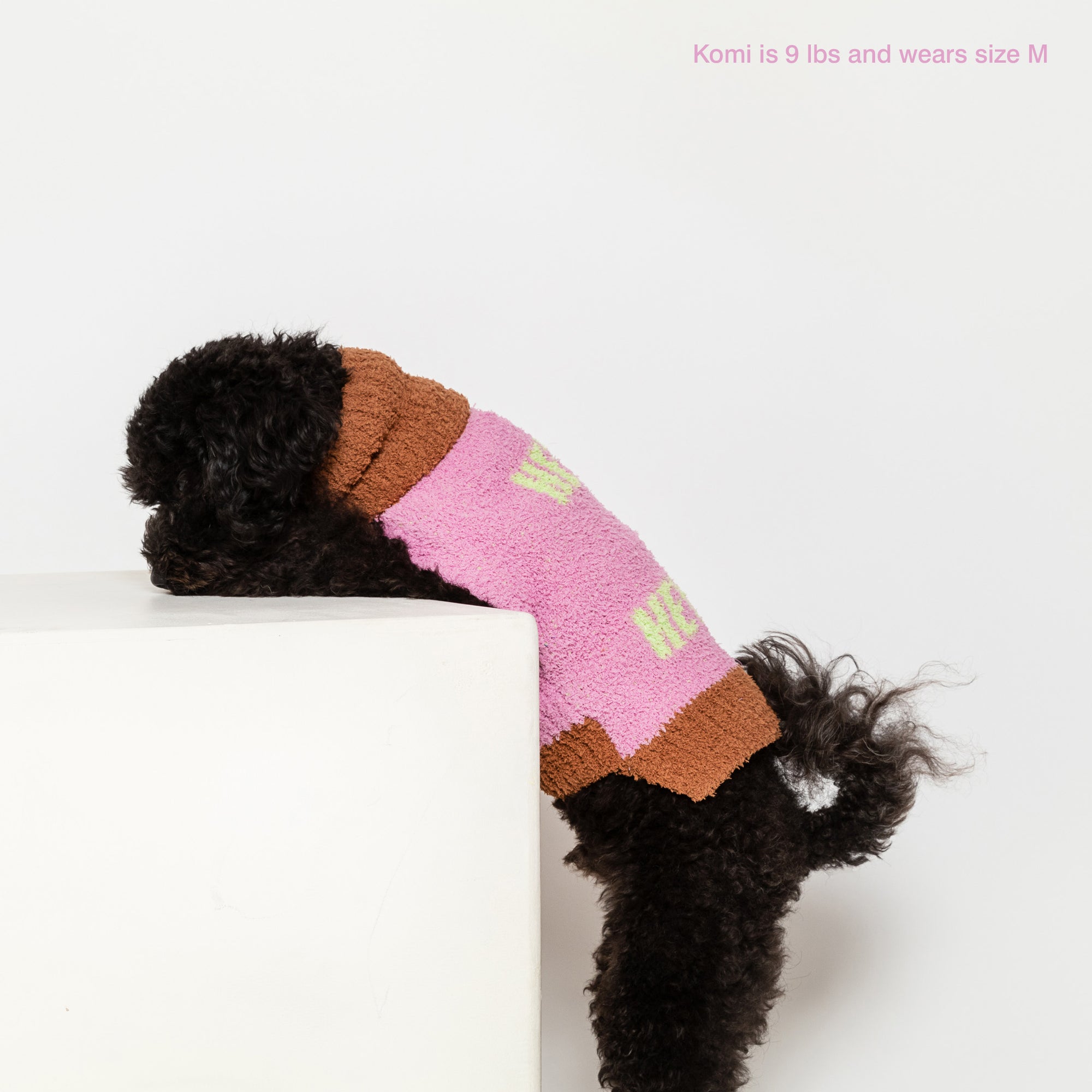 Poodle named Komi, 9Lb in a medium "The Furryfolks" Hey sweater, draped over a cube, against a white backdrop.