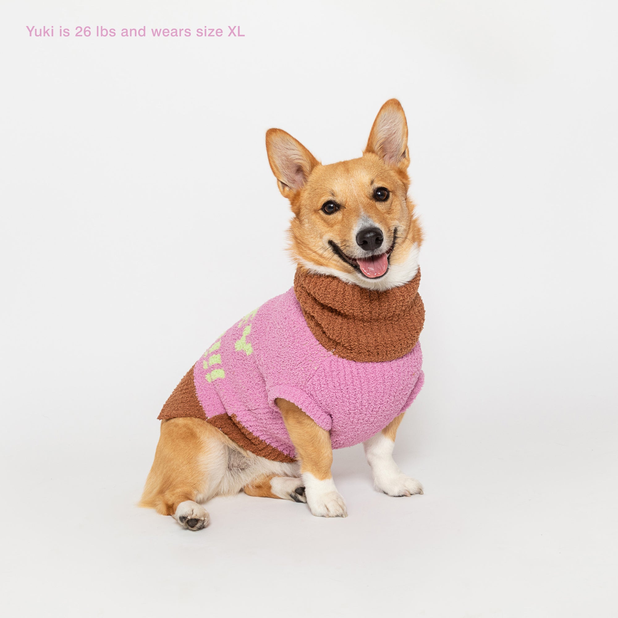 Corgi named Yuki, 26 lbs, dressed in an XL pink "The Furryfolks" Hey sweater, smiles at the camera, white background.