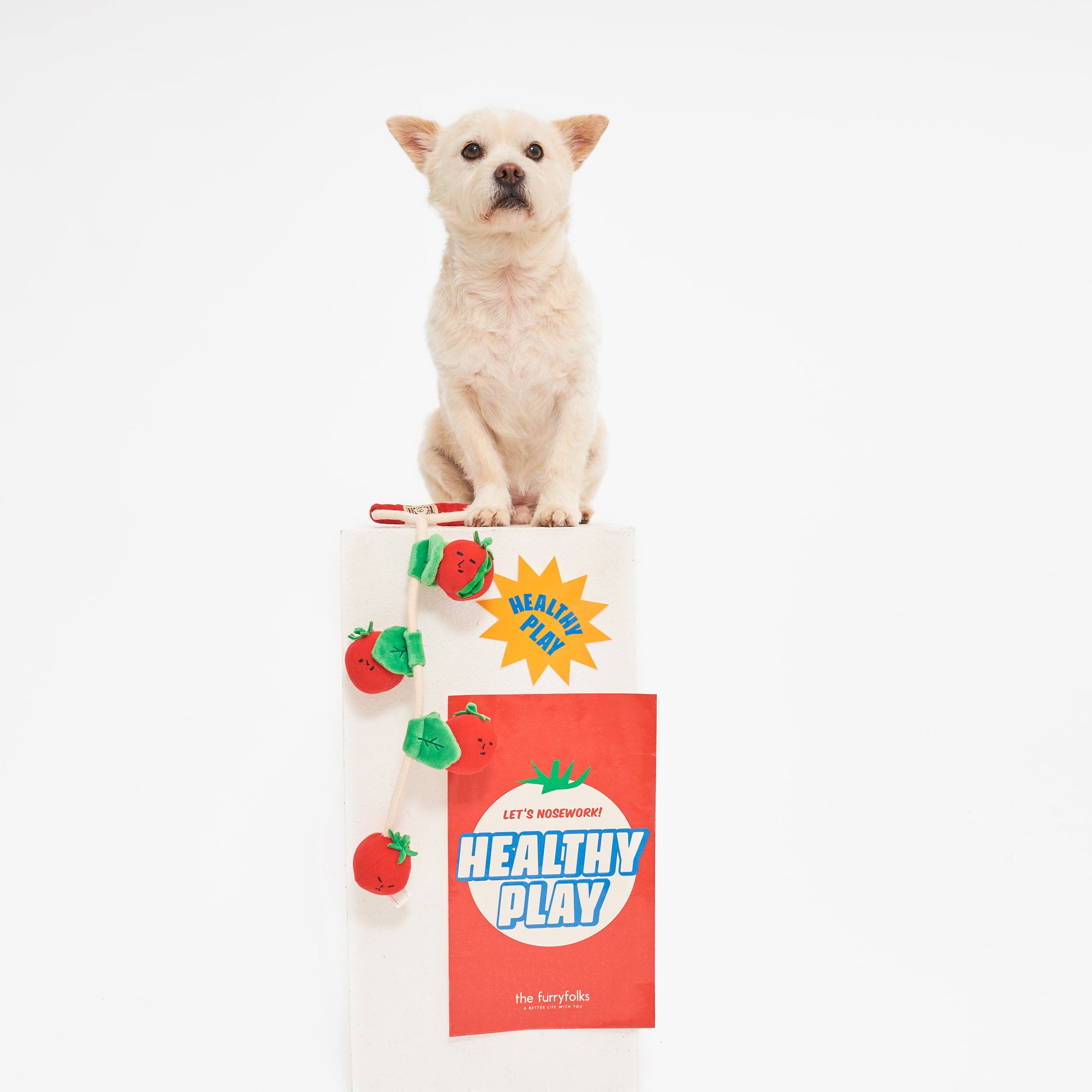The image shows a small, light-colored dog sitting on a platform with the text "HEALTHY FUN," and "LET'S NOSEWORK! HEALTHY PLAY" on posters, along with a string of plush tomato toys. This setup, including "the furryfolks" brand, likely promotes engaging and healthy play for pets.