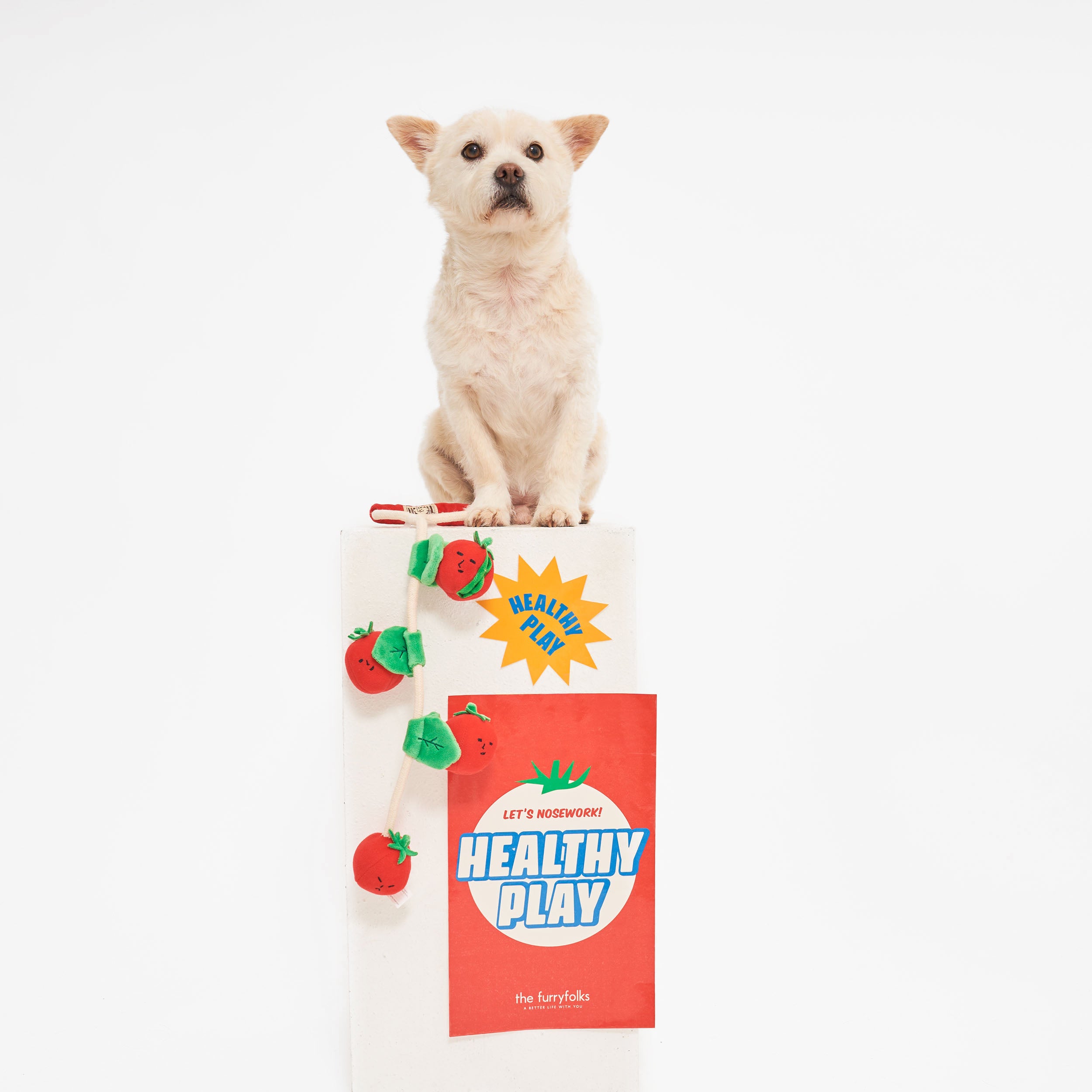 The image shows a small, light-colored dog sitting on a platform with the text "HEALTHY FUN," and "LET'S NOSEWORK! HEALTHY PLAY" on posters, along with a string of plush tomato toys. This setup, including "the furryfolks" brand, likely promotes engaging and healthy play for pets.
