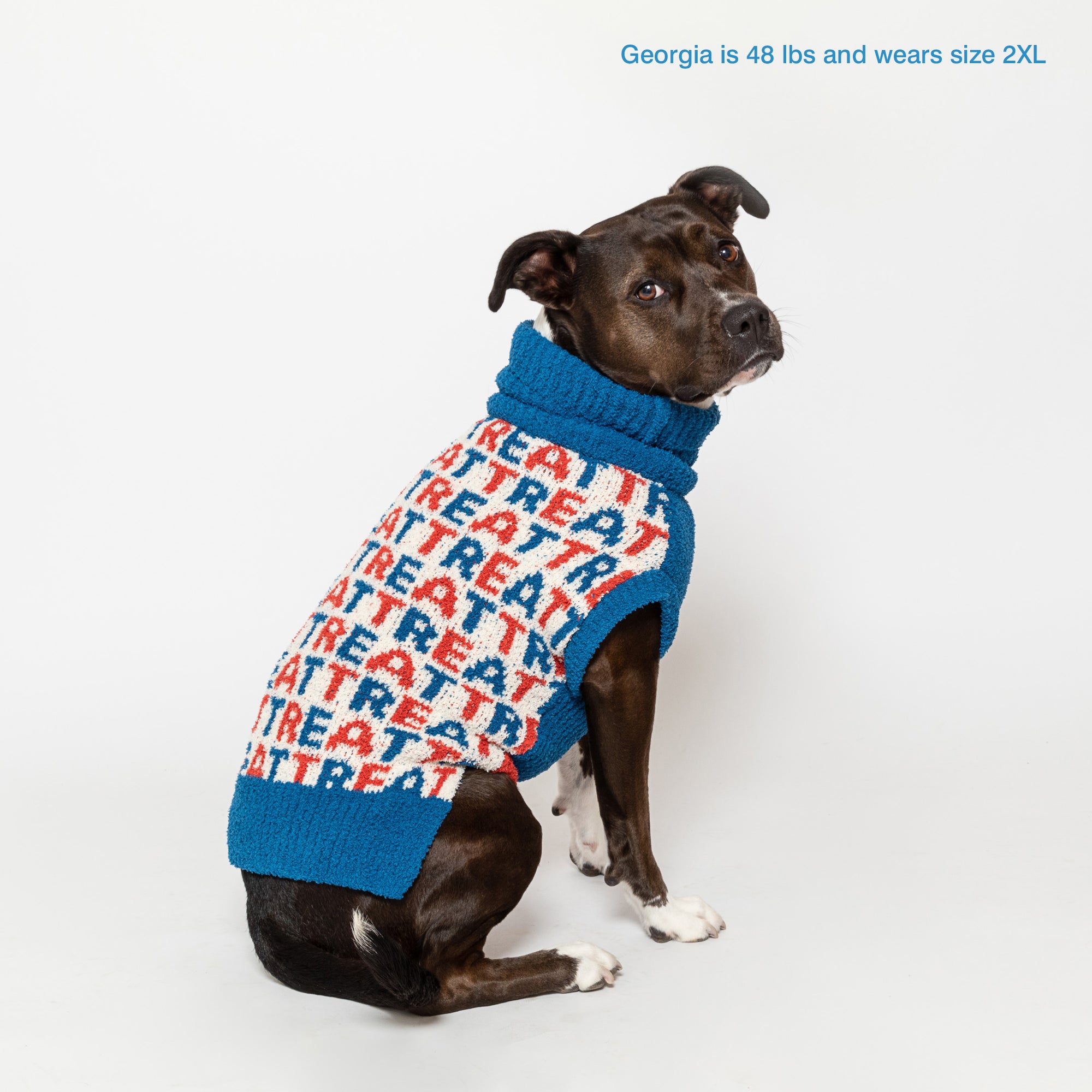 Georgia, a charming 48-pound dog, looks back over her shoulder while dressed in a cozy blue turtleneck sweater featuring a whimsical white and red "Treat" pattern, designed to fit her comfortably in size 2XL.