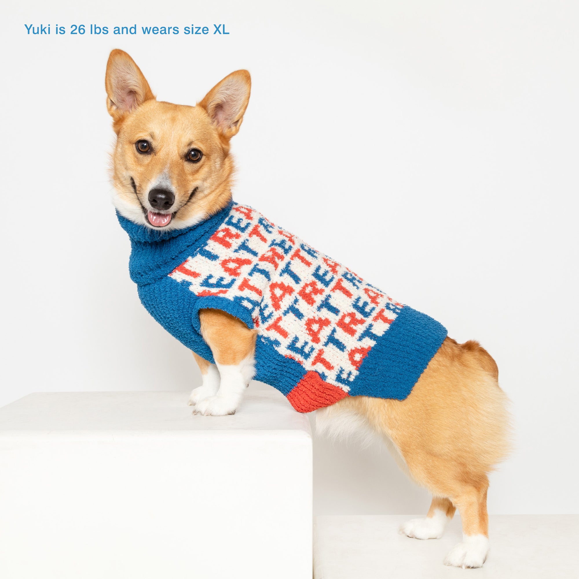 Yuki, a 26-pound Corgi with a cheerful demeanor, is showcased wearing a size XL blue turtleneck sweater adorned with a playful red and white "Treat" motif, perfectly sized to offer a snug and comfortable fit.