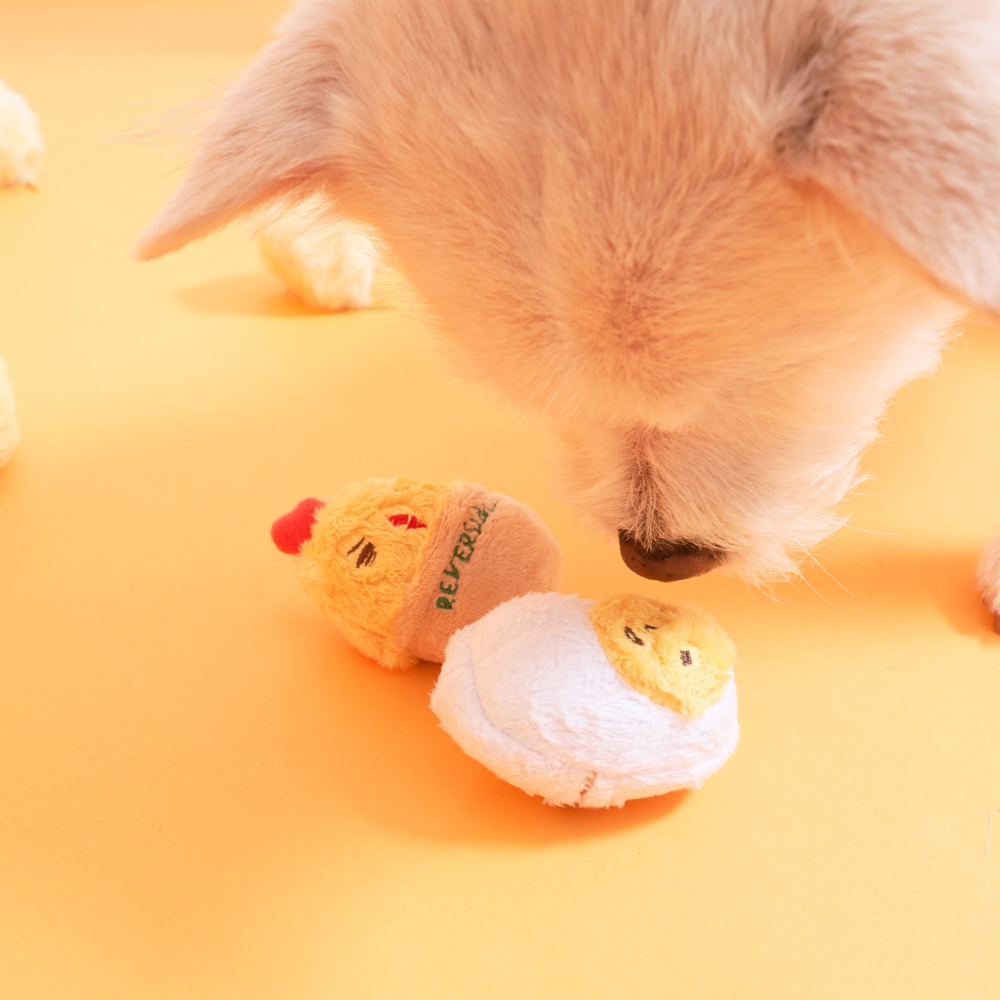 Puppy with Plush Reversible Chick Toys on Yellow Background.