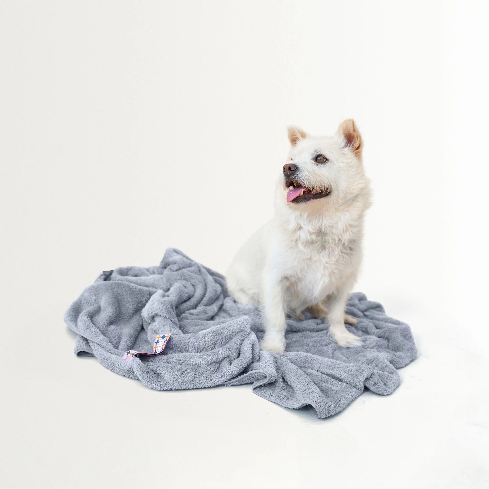 A contented dog nestled in a soft, grey pet towel, post-bath, enjoying the warmth and comfort it provides. The microfiber fabric ensures effective drying and coziness, making it an essential addition to your pet care routine. This towel promises a delightful and stress-free bath time experience for your furry companion.